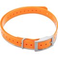 Garmin 3/4 inch Square Buckle Collar (esim. T5-mini) Orange