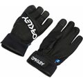 Oakley Factory Winter Glove 2 Blackout