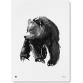 Teemu Järvi Paper Poster Small, 30 x 40 cm Gentle Bear