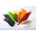 Wapsi Bucktail Lajitelma, kuusi eri väriä Normaalivärit
