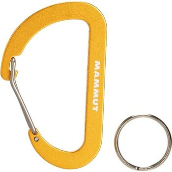 Accessory carabiners
