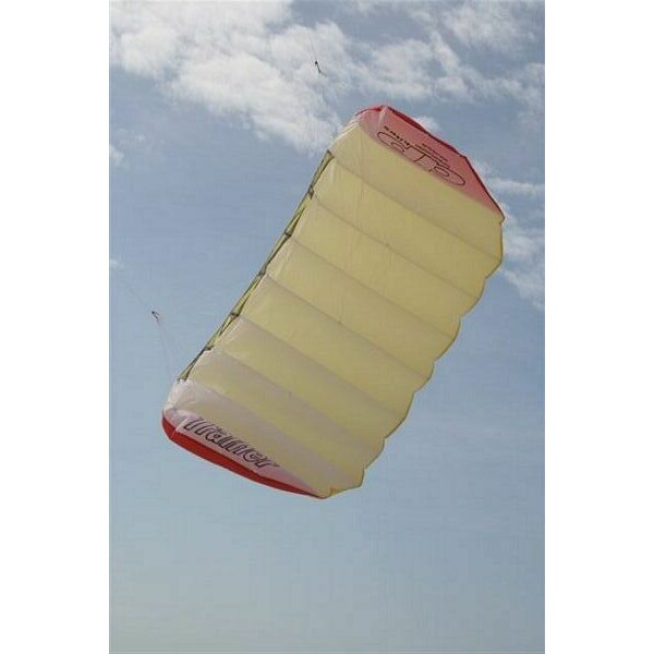 DP Kites Trainer RTF with Bar 2.0m²