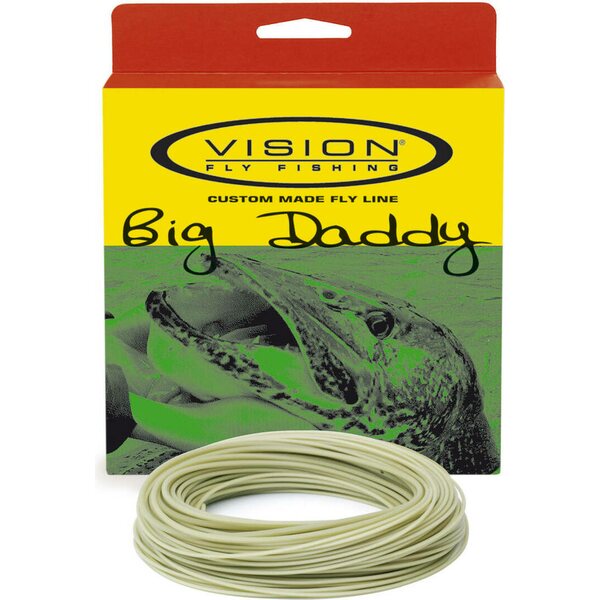 Vision Big Daddy perhosiima, intermediate